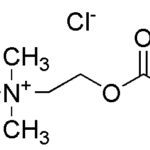 Acetylcholine chloride