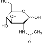 N-Acetyl-D-glucosamine