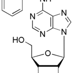 N6-Benzyladenosine