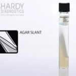 Middlebrook 7H11 Selective Slant, Hardy Diagnostics - C38, 20x125mm, Middlebrook 7H11 Selective Slant