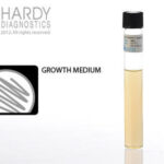 Nutrient Agar, Hardy Diagnostics - W31, 15 x 100 mm, Nutrient Agar Plate