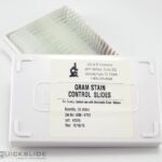 QuickSlide Gram Stain Control Slides, Hardy Diagnostics - QS0700, Quickslide gram stain control slides