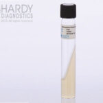 Trichophyton Agar, Hardy Diagnostics - C51, 20 x 125 mm, Trichophyton #1