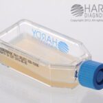 Middlebrook 7H11 Selective HardyFlask, Hardy Diagnostics - X28, Pack of 20, Middlebrook 7H11 Selective HardyFlask