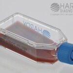 SabHI Agar with Blood, Chloramphenicol and Cycloheximide HardyFlask, Hardy Diagnostics - X73, Pack of 20, SabHI Agar with Blood, Chloramphenicol and Cycloheximide HardyFlask