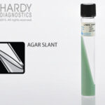 LJ (Lowenstein Jensen) Gruft Slant, Hardy Diagnostics - C23, 20 x 125 mm, LJ Gruft Slant, HDx