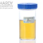 Tryptic Soy Broth (TSB) with Lecithin and Tween, Hardy Diagnostics - U134G, Tryptic Soy Broth (TSB) with Lecithin and Tween 80