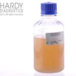 Antibiotic Medium, USP, Hardy Diagnostics - U510, Pack of 12, Antibiotic Medium #10, HDx