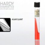 ALP Arabinose, Modified, Hardy Diagnostics - Y62, 13 x 100 mm, Modified ALP Arabinose, HDx