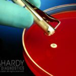 HardyDisks AST Amoxicillin/Clavulanic Acid, Augmentin, AmC-30, HardyDisks AST, Hardy Diagnostics - Z8025, 5 x 50 Disks, Amoxicillin/ClavAcd, AmC30, HDx, HardyDisk