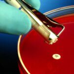 HardyDisks AST Cefaclor, CEC-30, Hardy Diagnostics - Z8121, 1x50 disks, Cefaclor, CEC-30, HDx