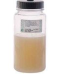 Neutralizing Buffered Peptone Water, Hardy Diagnostics - C9242, CRITERION Neutralizing Buffered Peptone Water Dehydrated Culture Media