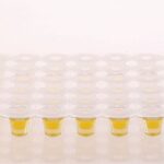 LabRobot Dilushaker III Digital, Hardy Diagnostics - 40DEBPW6, 6 Rows, 16 Trays, 7×6 Cups, Dilucup Elegance BPW