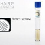 Tryptic Soy Broth (TSB) w/15% Glycerol, Hardy Diagnostics - R34, 13 x 100 mm, Tryptic Soy Broth (TSB) with 15% Glycerol