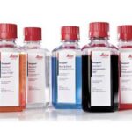 SelecTech Define Staining System, Leica - 3802918, 4×1 gal., Blue buffer SelecTech ready-to-use