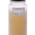Tryptic Soy Broth (TSB), USP, Hardy Diagnostics - U363, 500 mL, Tryptic Soy Broth (TSB), USP