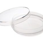 100mm x 20mm Tissue Culture Treated Dish w/Grip Ring, Sterile