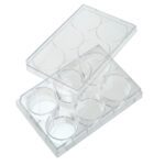 6 Well Non-treated Plate with Lid, Individual, Sterile