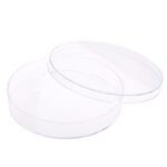 150mm x 25mm Tissue Culture Treated Dish, Sterile