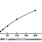 Mouse MIP-1 alpha/CCL3 ELISA Kit