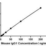 Mouse IgG1 ELISA kit