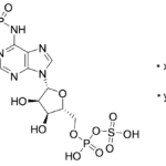 Adenosine 3′-Phosphate 5′-Phosphosulfate Lithium Salt Hydrate (Technical Grade)