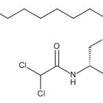 Chloramphenicol palmitate