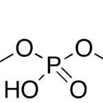 Bis(2,3-dibromopropyl) Phosphate
