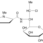 Clindamycin B 2-Phosphate