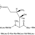 Cyclosporin A-13C2,d4 (Major)