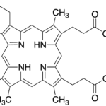 Coproporphyrin III Dihydrochloride