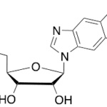 5,6-Dichloropurine-1-Beta-D-ribofuanosyl-H-benzimidazole